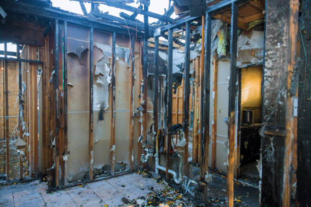 Professional Fire Damage Removal technician working in Big Bear Lake, CA
